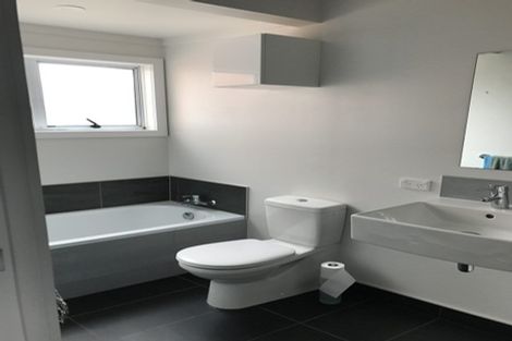 Photo of property in 18 Renton Road, Mount Albert, Auckland, 1025