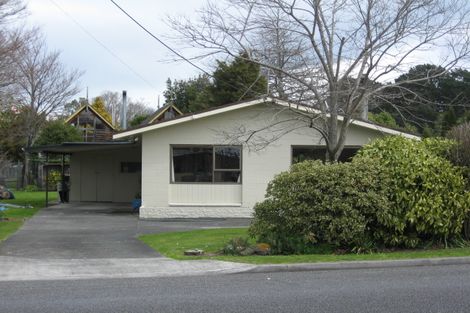 Photo of property in 28 Mcmaster Street, Greytown, 5712