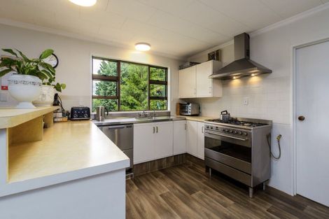 Photo of property in 533 Saint Bathans Loop Road, Cambrians, Omakau, 9377