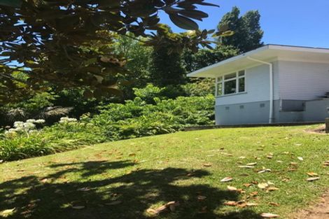 Photo of property in 509 The Terrace, Thames, 3500