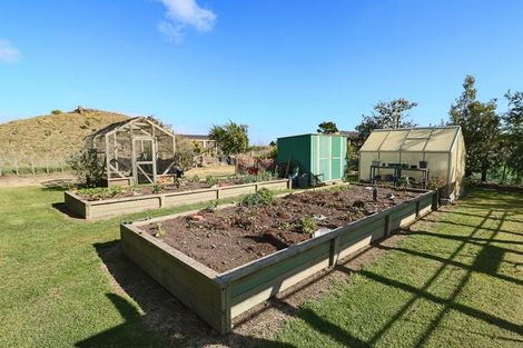 Photo of property in 366 Motuiti Road, Foxton, 4891