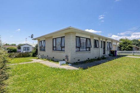 Photo of property in 147 Bath Street, Levin, 5510