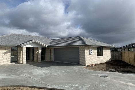 Photo of property in 199 Borman Road, Rototuna North, Hamilton, 3210