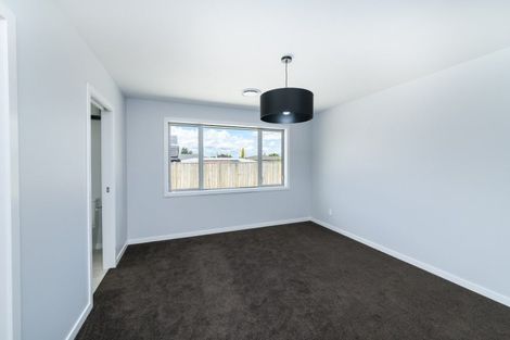 Photo of property in 163a Denbigh Street, Feilding, 4702