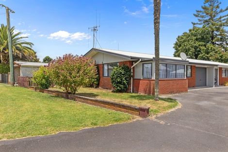 Photo of property in 29 Collingwood Street, Judea, Tauranga, 3110