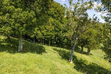 Photo of property in 445 Anaroa Road, Raukawa, Hastings, 4174