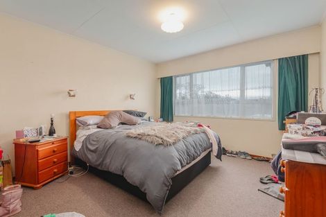 Photo of property in 411 Ruahine Street, Terrace End, Palmerston North, 4410