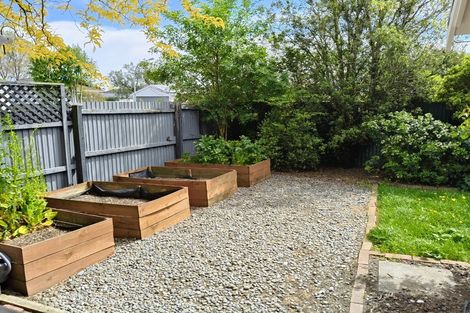 Photo of property in 16 Marshall Street, Rangiora, 7400