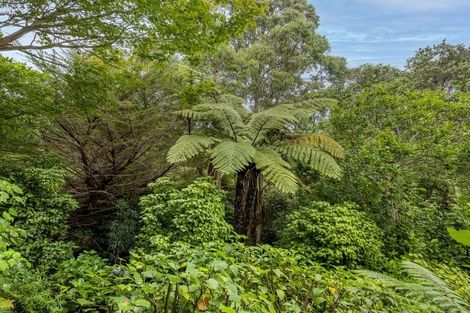 Photo of property in 52 Leinster Avenue, Raumati South, Paraparaumu, 5032