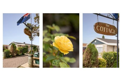 Photo of property in 36 Townhead Crescent, Bethlehem, Tauranga, 3110