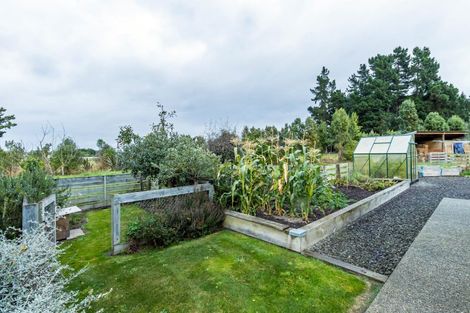 Photo of property in 116 Molloys Road, Waimate, 7980