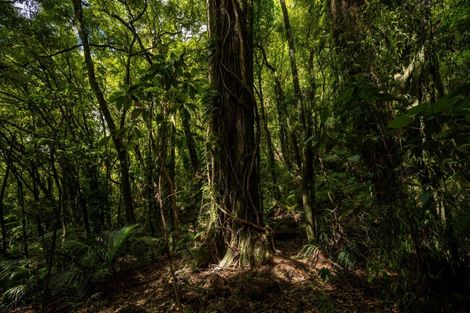 Photo of property in 185 Kanuka Rise, Wakapuaka, Nelson, 7071