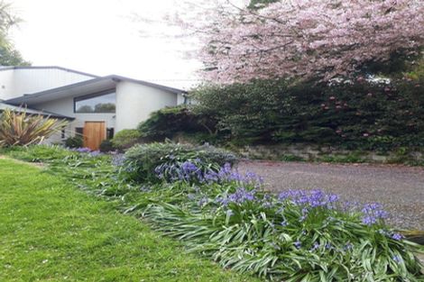 Photo of property in 728 Whangamata Road, Kinloch, Taupo, 3377