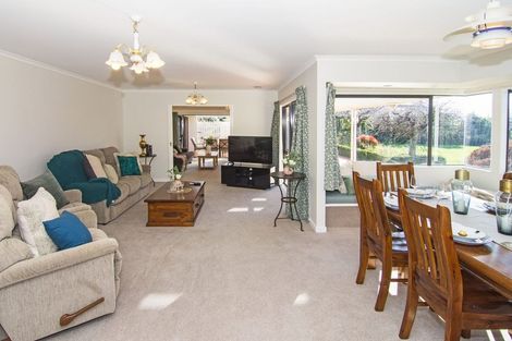 Photo of property in 56 South Belt, Solway, Masterton, 5810