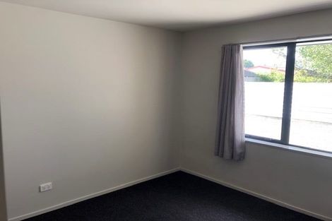 Photo of property in 110a Eton Street, Hampstead, Ashburton, 7700