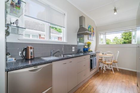 Photo of property in 57 Manson Street, Terrace End, Palmerston North, 4410