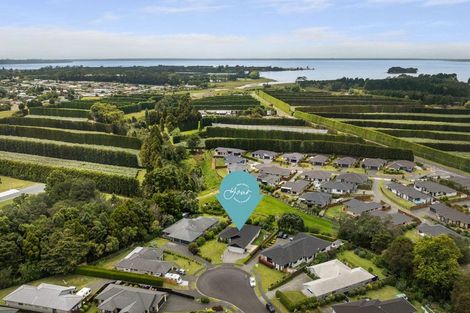 Photo of property in 42 Maniaroa Drive, Katikati, 3129