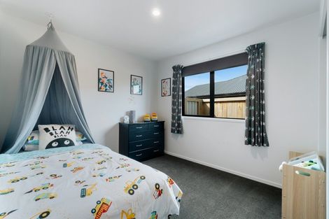 Photo of property in 20 Fallow Street, Jacks Point, 9371