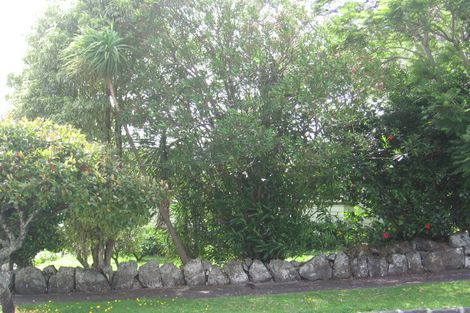 Photo of property in 48 Cromwell Street, Mount Eden, Auckland, 1024