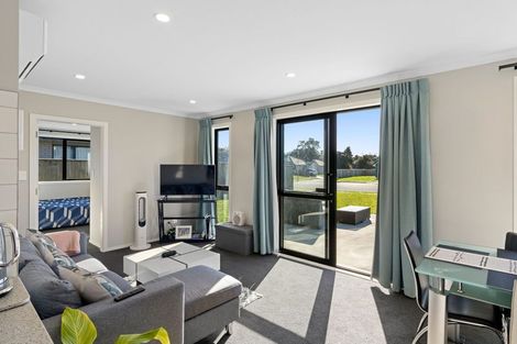 Photo of property in 111 Hinemoa Street, Levin, 5510