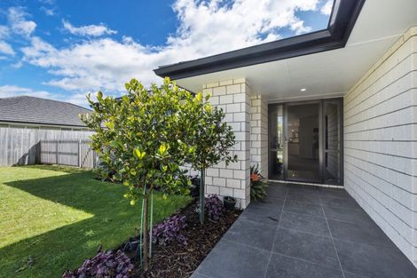 Photo of property in 31 Banks Road, Matamata, 3400