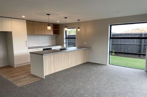 Photo of property in 9 Burrow Street, Rolleston, 7614