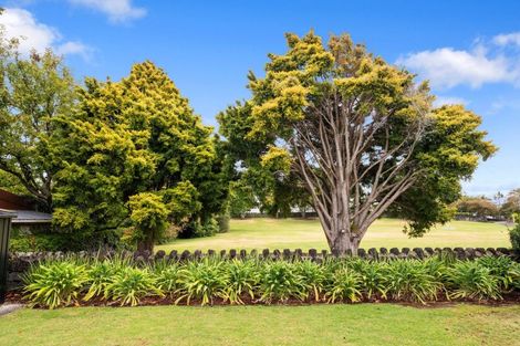 Photo of property in 84 Marsden Avenue, Mount Eden, Auckland, 1024