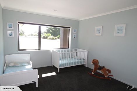 Photo of property in 29 Chertsey Line Road, Chertsey, Ashburton, 7772