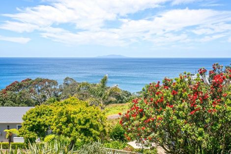 Photo of property in 407 Onemana Drive, Onemana, Whangamata, 3691