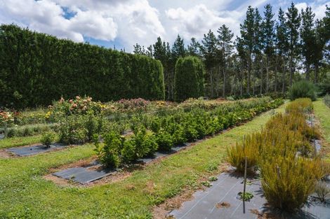 Photo of property in 259 Wainui Road South, Whakamarama, Katikati, 3181