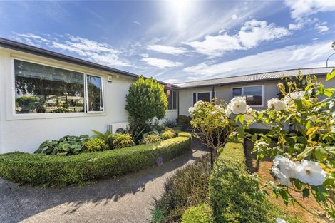 Photo of property in 467 Ruahine Street, Terrace End, Palmerston North, 4410