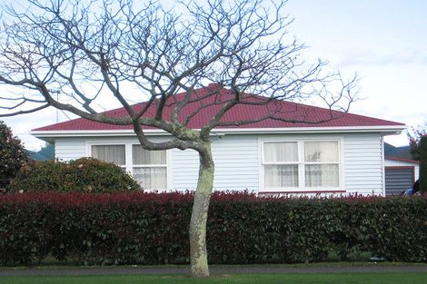 Photo of property in 105 Queen Street West, Levin, 5510