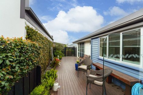 Photo of property in 81 Mary Ellen Street, Pegasus, 7612