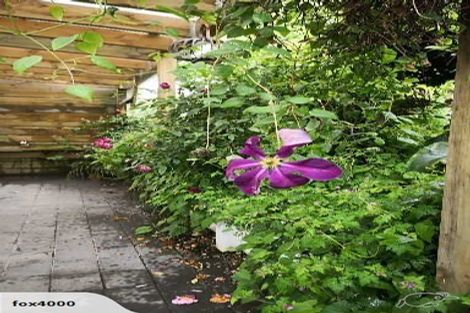 Photo of property in 77 Maryhill Terrace, Maryhill, Dunedin, 9011