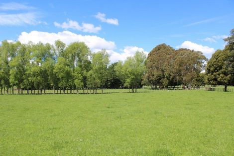 Photo of property in 347 West Bush Road, Upper Plain, Masterton, 5888