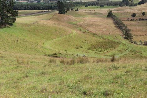 Photo of property in 113c Marua Road, Hikurangi, 0181