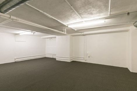 Photo of property in Stadium Garden Flats, 314/107 Thorndon Quay, Pipitea, Wellington, 6011