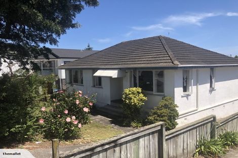 Photo of property in 333 Hillsborough Road, Hillsborough, Auckland, 1042