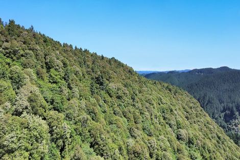 Photo of property in 575a Whirinaki Road, Galatea, Murupara, 3079