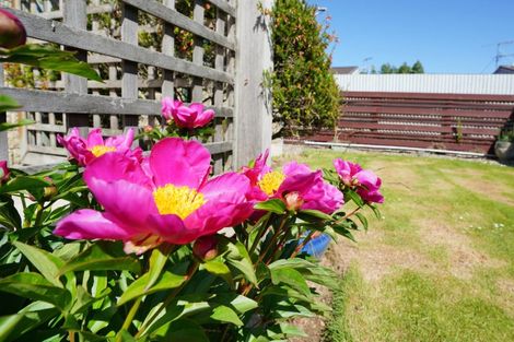 Photo of property in 20a Bourke Street, Windsor, Invercargill, 9810