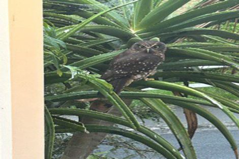 Photo of property in 7 Houghton Bay Road, Houghton Bay, Wellington, 6023