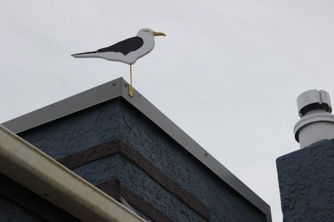 Photo of property in 1146 Brighton Road, Brighton, Dunedin, 9035