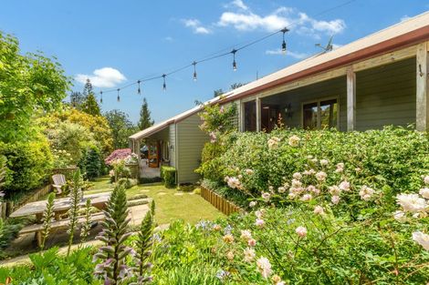 Photo of property in 12 Waikareao Way, Brookfield, Tauranga, 3110
