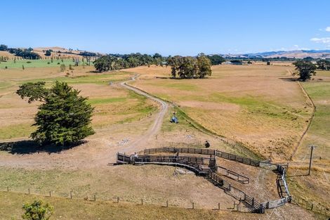 Photo of property in 398 Opaki Kaiparoro Road, Kopuaranga, Masterton, 5882