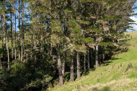 Photo of property in 15 Toots Drive, Kawakawa, 0282