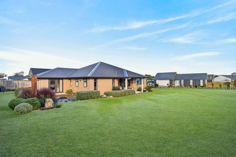 Photo of property in 85 Miro Street, Lansdowne, Masterton, 5810