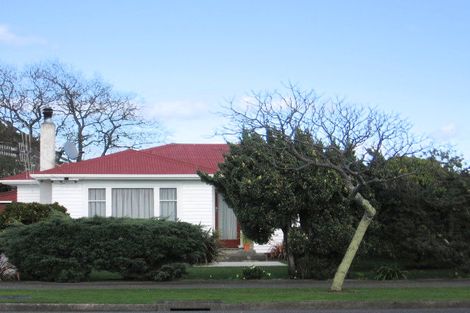 Photo of property in 101 Queen Street West, Levin, 5510