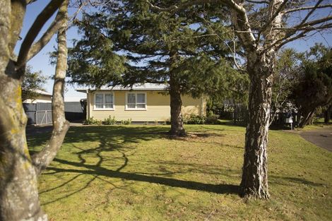 Photo of property in 2 Oban Place, Awapuni, Palmerston North, 4412
