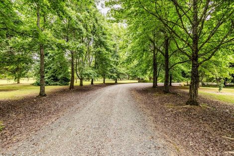 Photo of property in 296 Punakitere Road, Taheke, Kaikohe, 0473