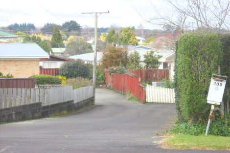 Photo of property in 107 Mahoe Street, Melville, Hamilton, 3206